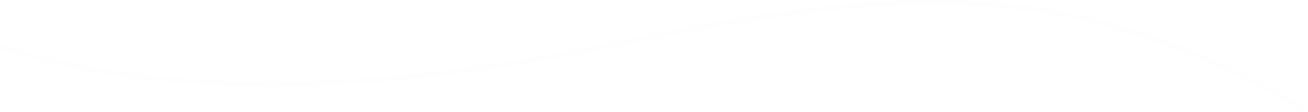 Wiseon Marketing Digital Logo